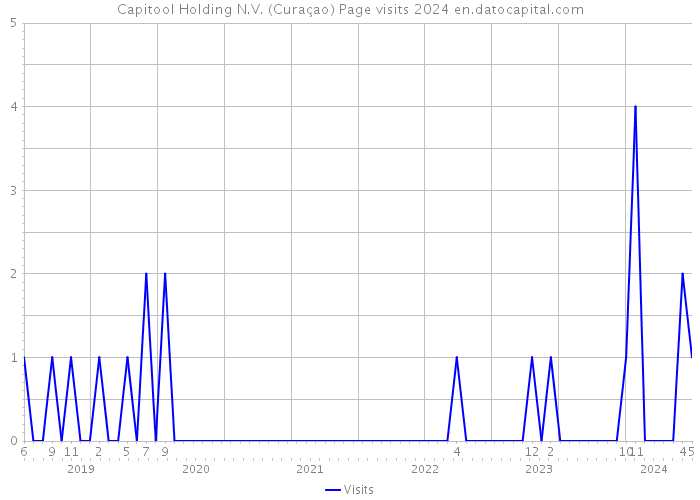 Capitool Holding N.V. (Curaçao) Page visits 2024 