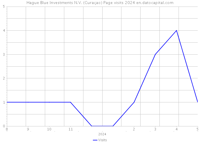 Hague Blue Investments N.V. (Curaçao) Page visits 2024 