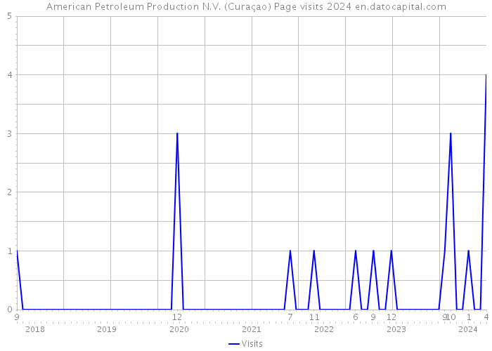 American Petroleum Production N.V. (Curaçao) Page visits 2024 
