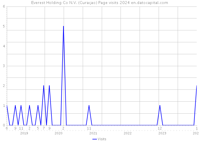 Everest Holding Co N.V. (Curaçao) Page visits 2024 